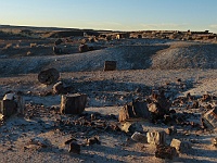 EBIZONA 2013 Mirek 139  Petrified Forest, Odstíny modré – neděle, 20. října