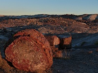 EBIZONA 2013 Mirek 140  Petrified Forest, Odstíny červené – neděle, 20. října