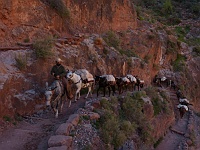EBIZONA 2013 Mirek 234  Grand Canyon, Potkáváme muly s nákladem – středa, 23. října