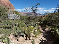 EBIZONA 2013 Mirek 237  Grand Canyon, Vegetace v Indiánské zahradě – středa, 23. října