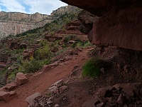 EBIZONA 2013 Mirek 253  Grand Canyon, Jdeme až tam nahoru - středa, 23. října