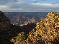 EBIZONA 2013 Mirek 254  Grand Canyon, Na okraji kaňonu jsou stromy už zbarvené do žluta –