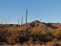 EBIZONA 2013 Mirek 621  Desert museum, Saguaro Narional Park před západem Slunce – sobota, 2. listopadu