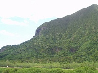 P3100062