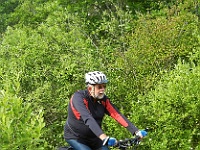 IMG 0899